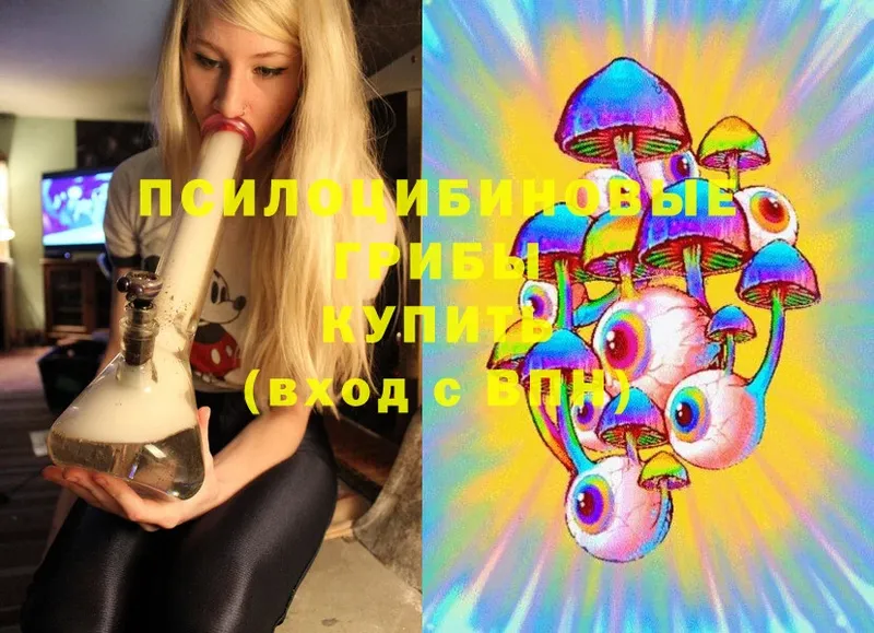 Галлюциногенные грибы Psilocybine cubensis  hydra   Канаш 